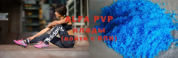 СК Алзамай