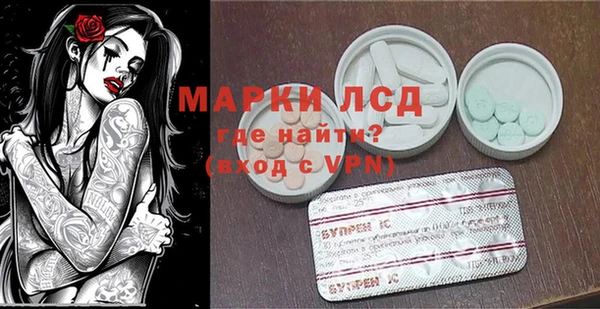 СК Алексин