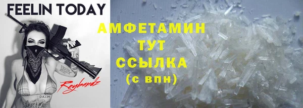 СК Алексин
