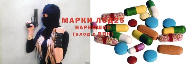 СК Алексин