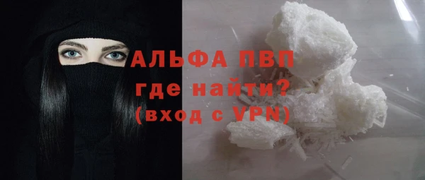 СК Алексин