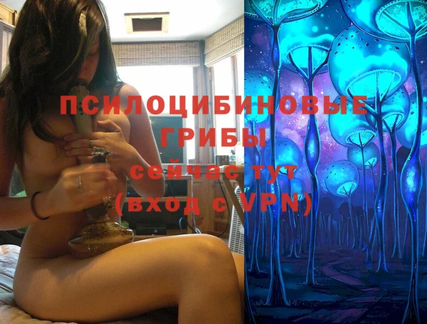 СК Алзамай