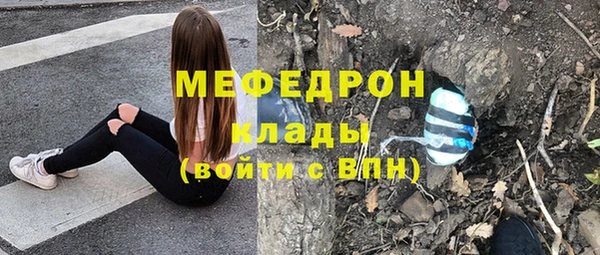 СК Алексин